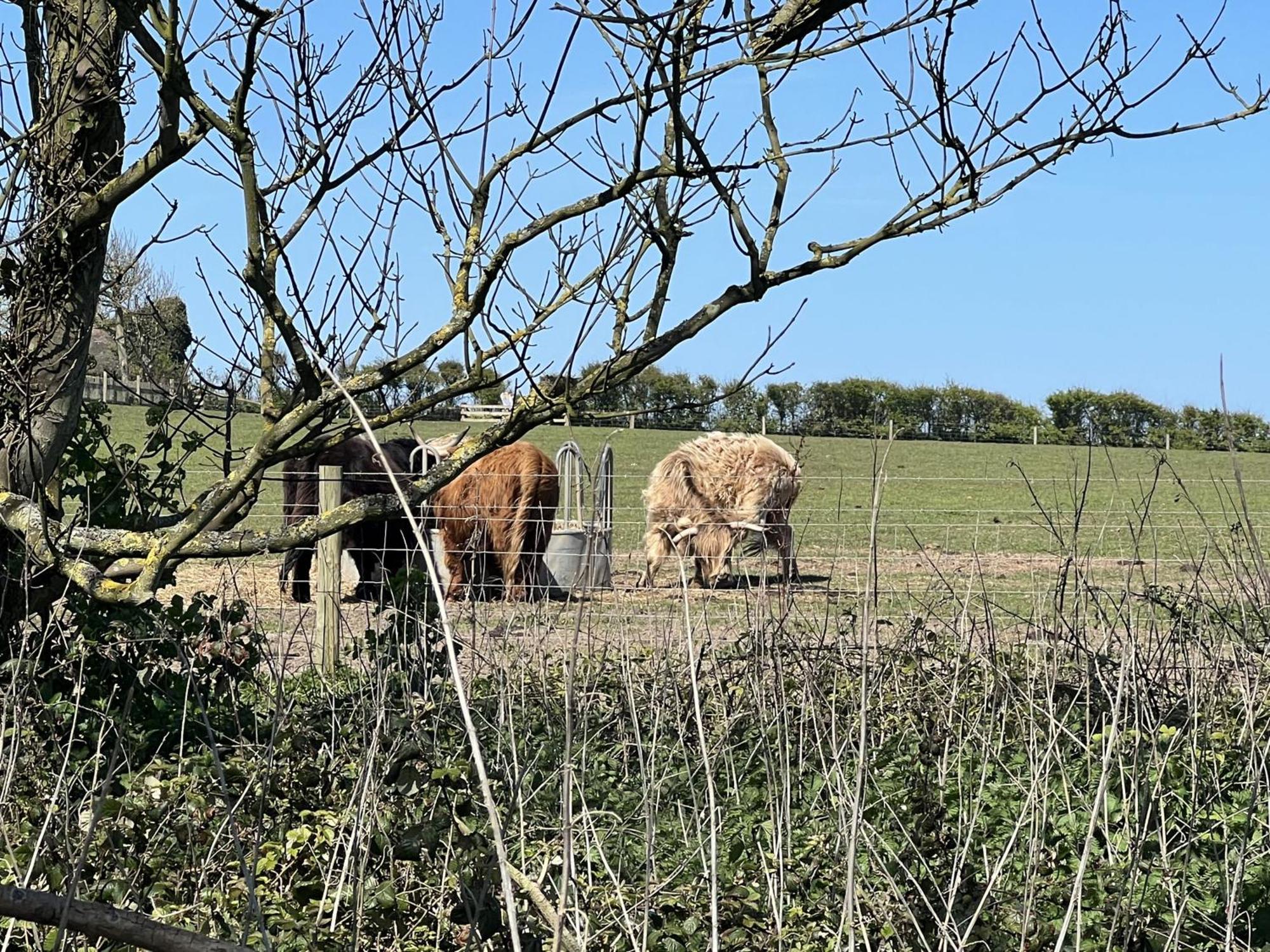 2 Minutes To Happisburgh Beach And Lighthouse Views - Dog Friendly Norfolk 외부 사진
